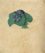 Albrecht Durer A Nosegay of Violets Germany oil painting artist